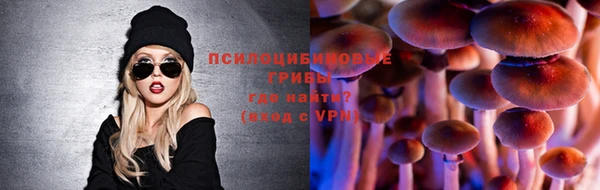 mdpv Гусиноозёрск