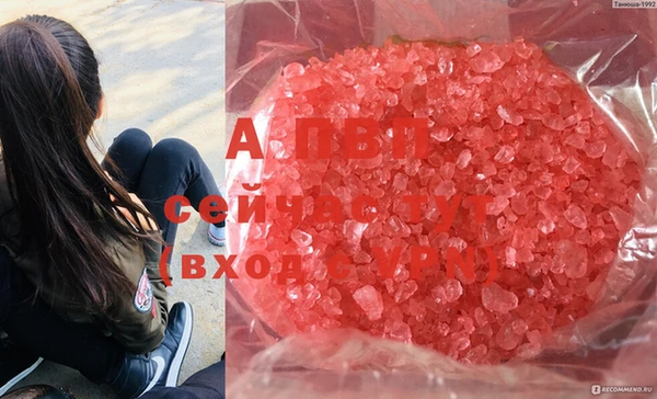 не бодяженный Гусев