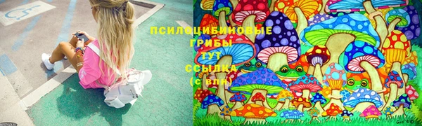 mdpv Гусиноозёрск