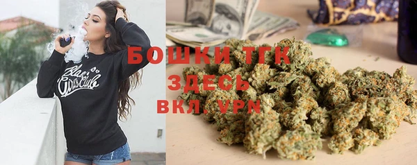 не бодяженный Гусев