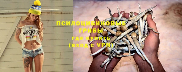 mdpv Гусиноозёрск