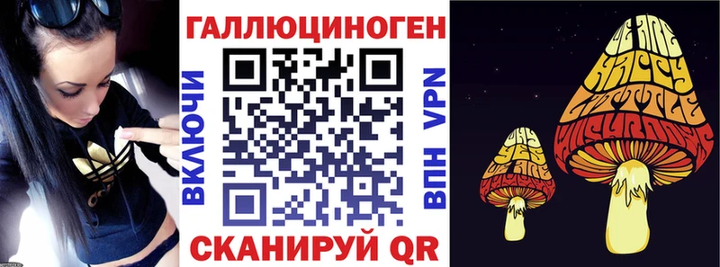 Купить  Малоархангельск  Псилоцибиновые грибы Psilocybe 